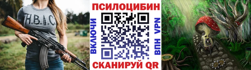 Псилоцибиновые грибы Psilocybine cubensis  Менделеевск 