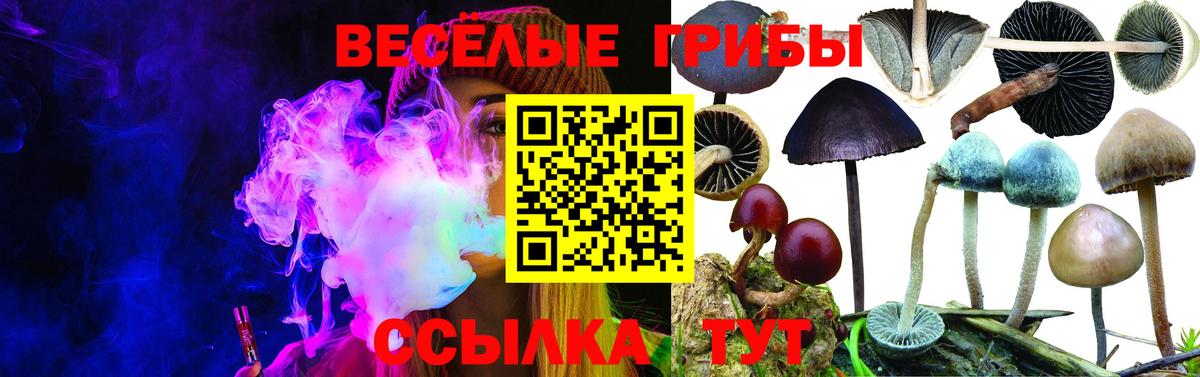 Галлюциногенные грибы мухоморы Менделеевск